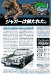 Jaguar 1978 139.jpg
